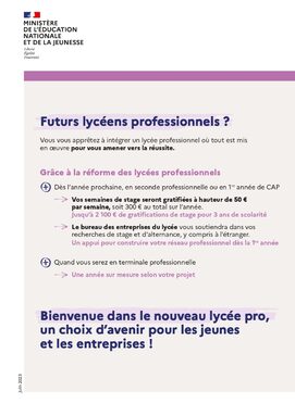 flyer-futur-lyc-ens-professionnels-155699_0_page-0001.jpg
