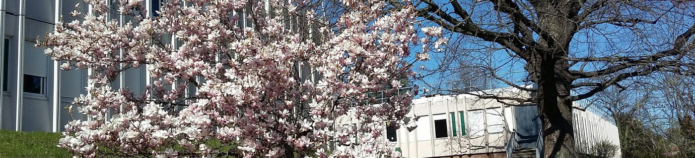 20210329_112558.jpg